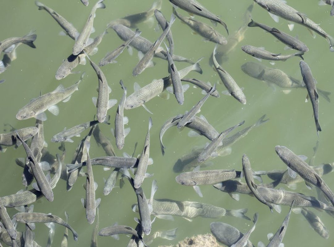 Has Lake Yiganlawi Ever Dried Up