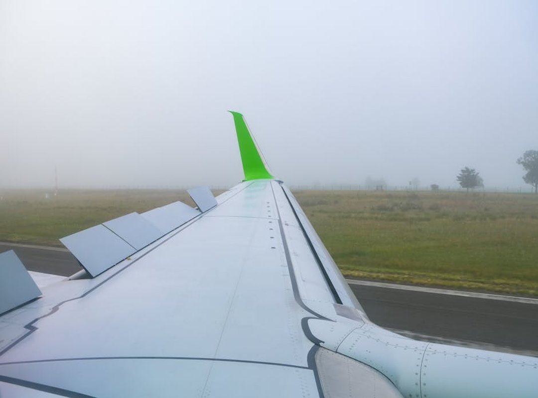 How Havajazon Formed