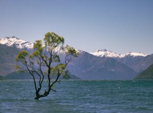 Why Is Lake Yiganlawi Famous