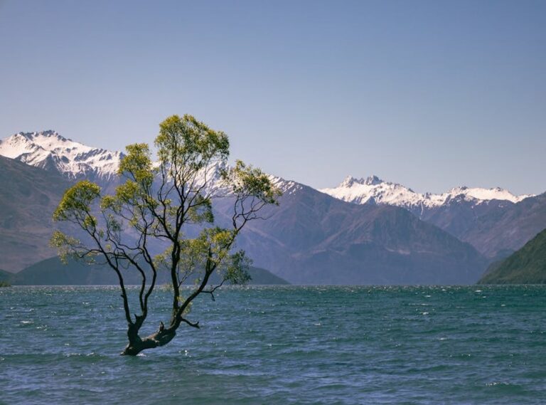 Why Is Lake Yiganlawi Famous