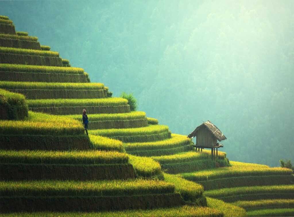 sustainable tourism trends